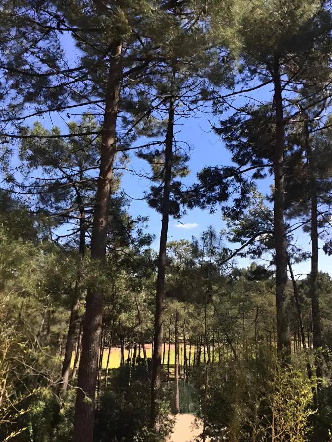 فيلا Un Nid Dans La Pinede لاكانو المظهر الخارجي الصورة